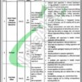 Rewrite This Title With Different Wordingpunjab Mineral Company Lahore Jobs