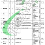 Rewrite This Title With Different Wordingfederal Government Polyclinic Islamabad Jobs