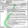 Rewrite This Title With Different Wordingdps Lahore Jobs 2024 Divisional