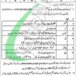 Rewrite This Title With Different Wordingexcise And Taxation Punjab Jobs