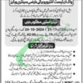 Rewrite This Title With Different Wordingwalk In Interview Lahore Waste