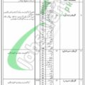 Rewrite This Title With Different Wordingpopulation Welfare Department Kpk Jobs