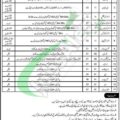 Rewrite This Title With Different Wordingamc Center Abbottabad Jobs 2024