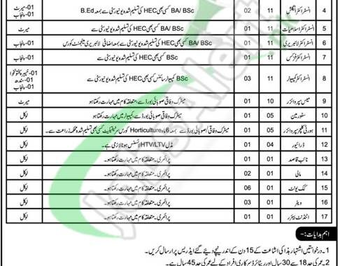 Rewrite This Title With Different Wordingamc Center Abbottabad Jobs 2024