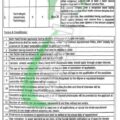 Rewrite This Title With Different Wordingallied Hospital Faisalabad Jobs 2024