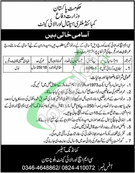 Rewrite This Title With Different Wordingcmh Loralai Jobs 2024 Combined