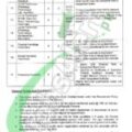 Rewrite This Title With Different Wordingchildren's Hospital Lahore Jobs 2025