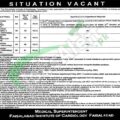 Rewrite This Title With Different Wordingfaisalabad Institute Of Cardiology Jobs