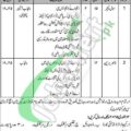 Rewrite This Title With Different Wordinggarrison Hrdc Malir Jobs 2025