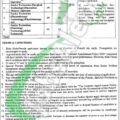 Rewrite This Title With Different Wordinglahore General Hospital Jobs 2025