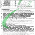 Rewrite This Title With Different Wordingsahiwal Institute Of Cardiology Jobs