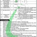 Rewrite This Title With Different Wordingsahiwal Teaching Hospital Jobs 2025