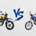 Cg 125 Winter Blue Vs. Ybr Mango Yellow New